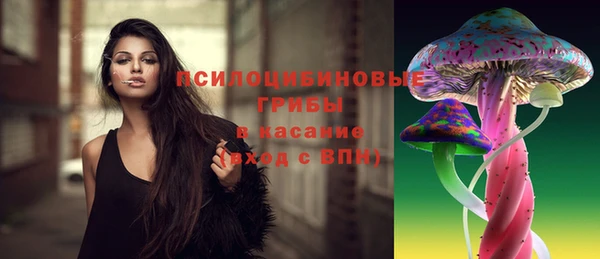 2c-b Лабытнанги