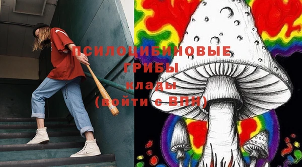 2c-b Лабытнанги