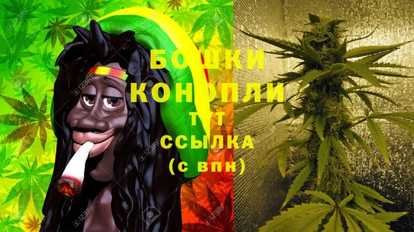 эйфоретик Ладушкин