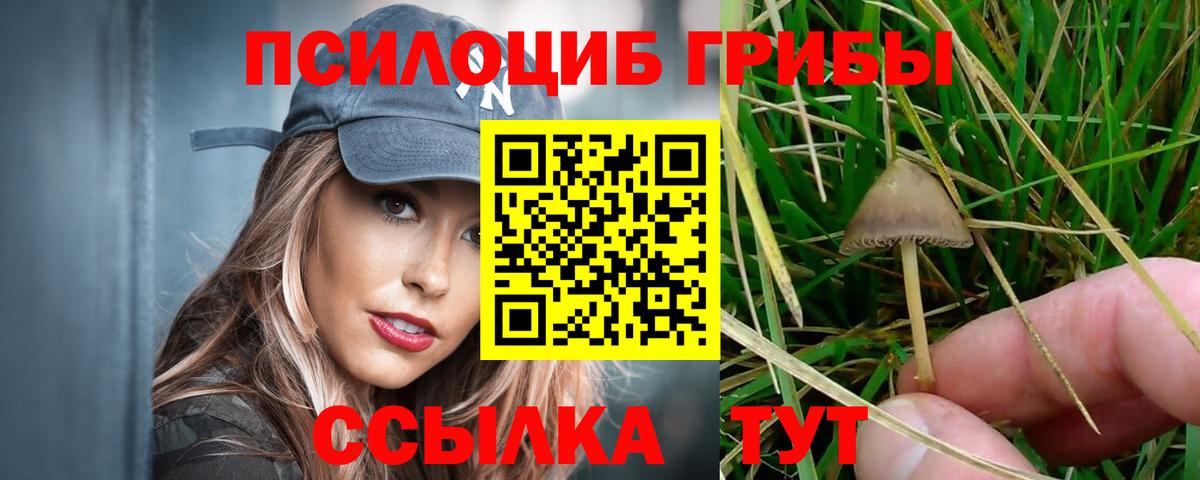Псилоцибиновые грибы Cubensis Симферополь